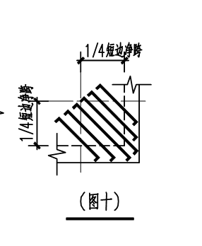 分布筋