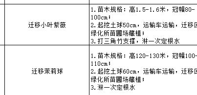 喬木