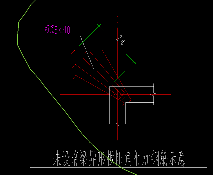 放射筋