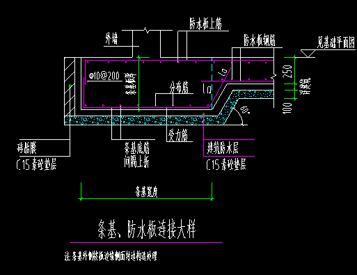 條基