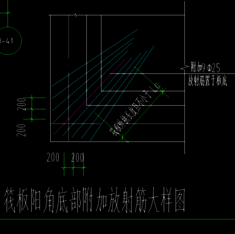 放射筋