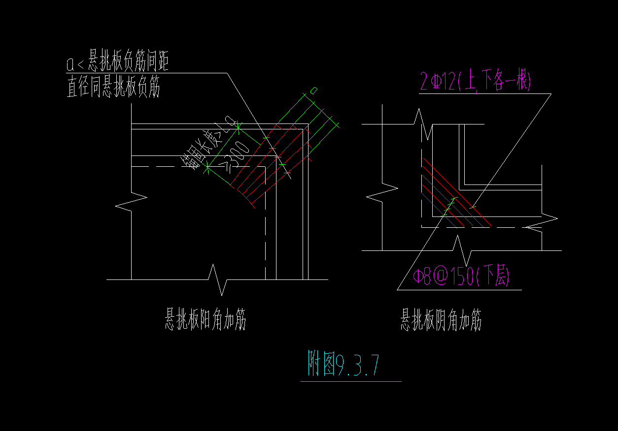 放射筋
