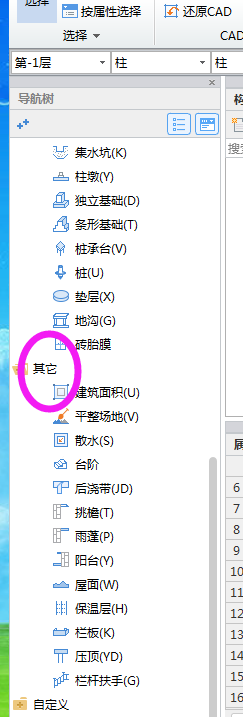 筋指的是