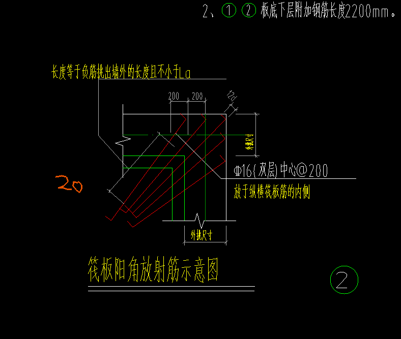 放射筋
