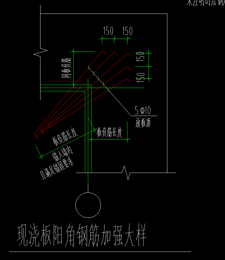 放射筋