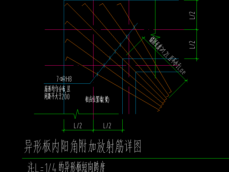 放射筋