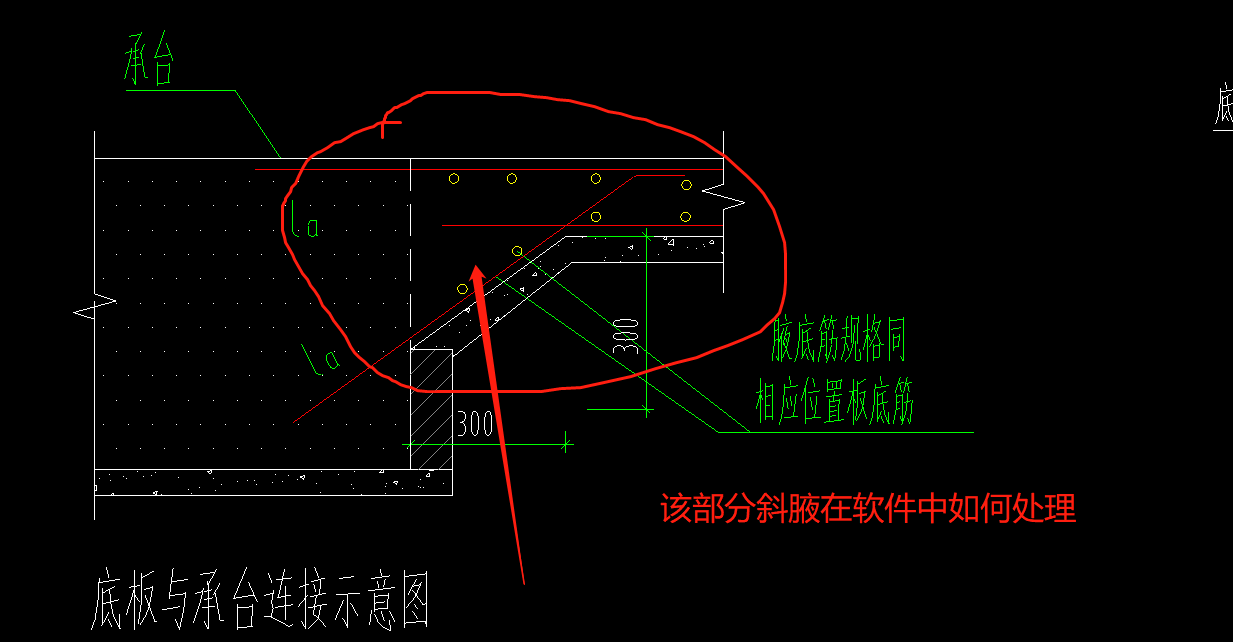 磚胎膜