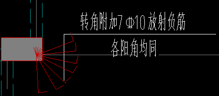 放射筋