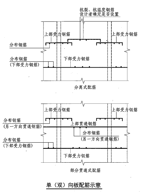 分布筋