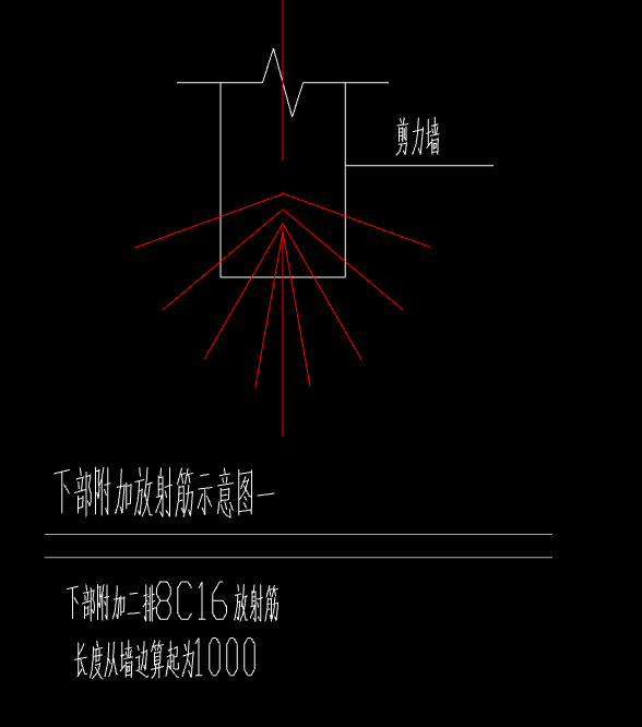 放射筋