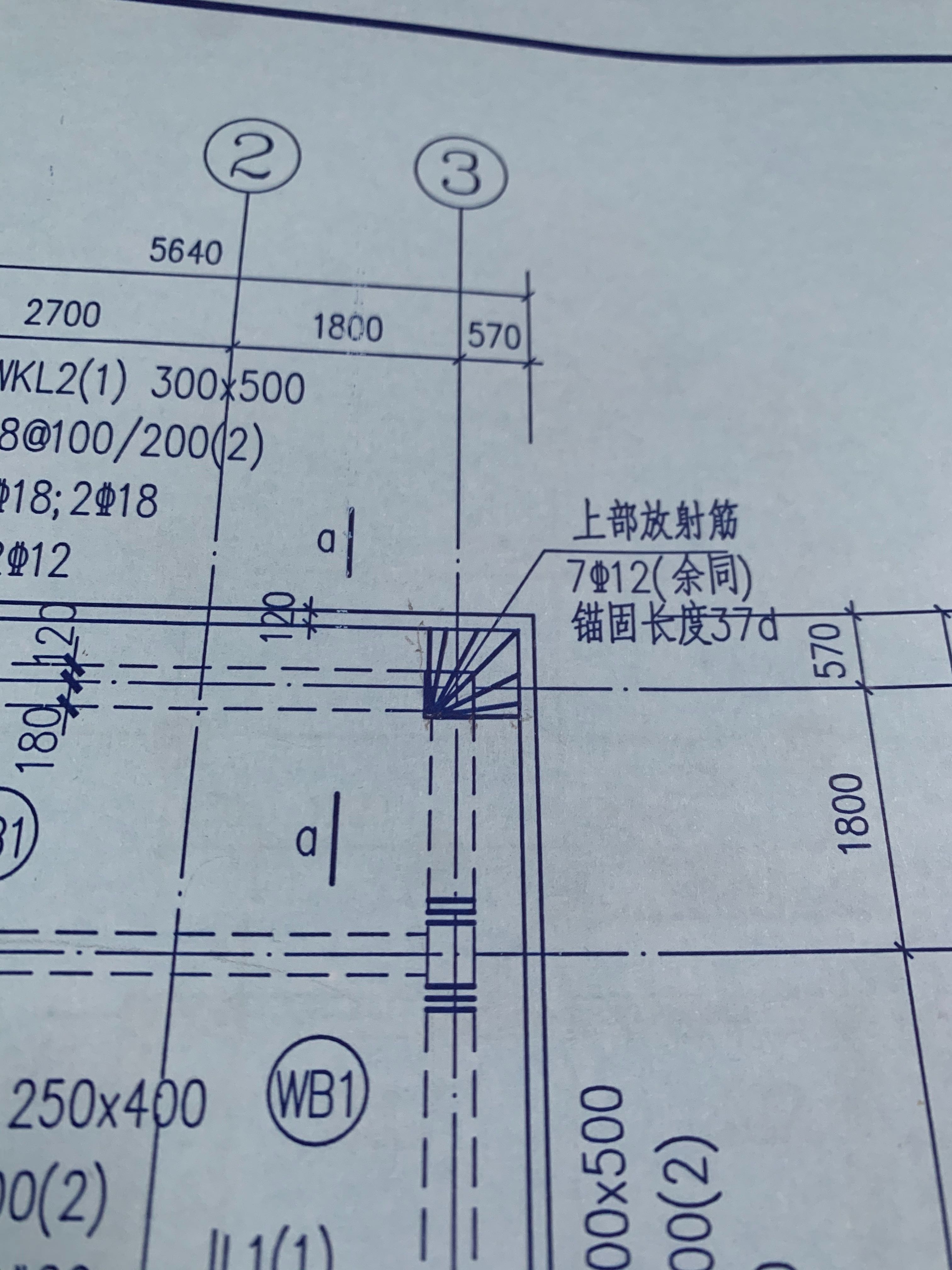 求问 这个放射筋如何酸长度