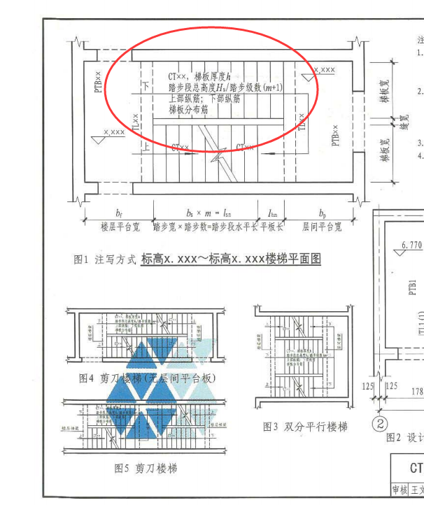 梯梯