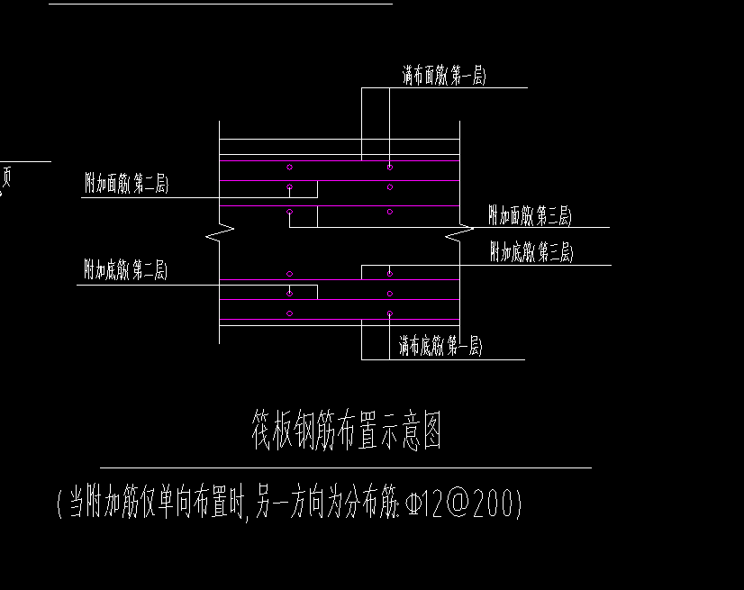 分布筋