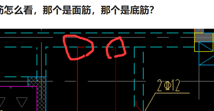 板筋