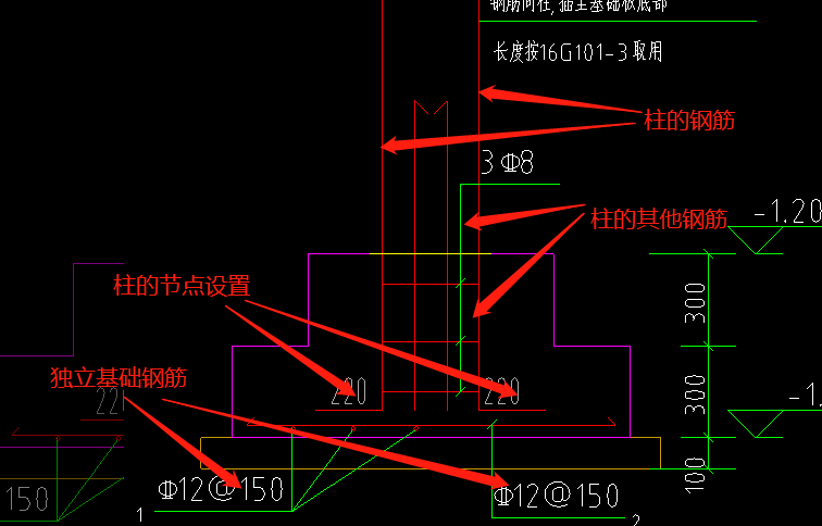 垂直筋