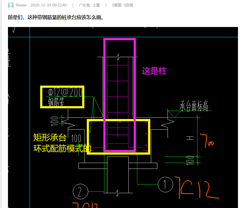 前辈们,这种带钢筋笼的桩承台应该怎么画.