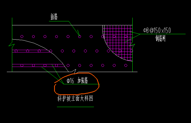 強(qiáng)筋