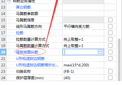 分布筋