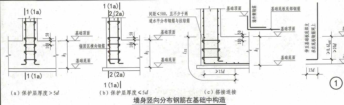 直筋