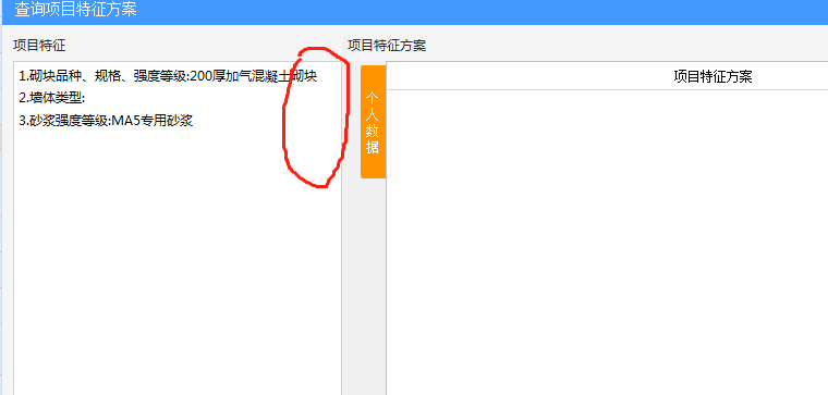 項目特征
