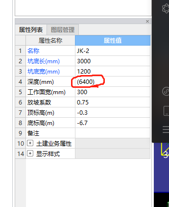 項目特征