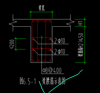 根据这个信息侧面钢筋是输入4c10还是2c10