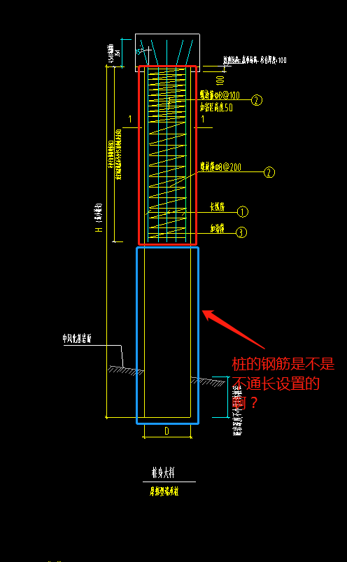 桩钢筋的布置是从顶部到底部通长布置的吗为什么桩节点图只布置到桩长