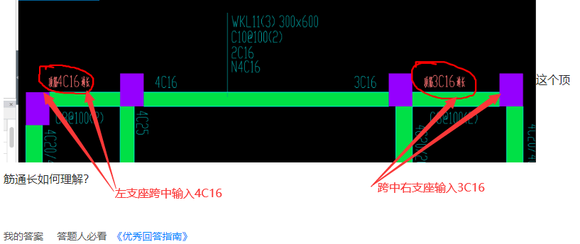 通長筋
