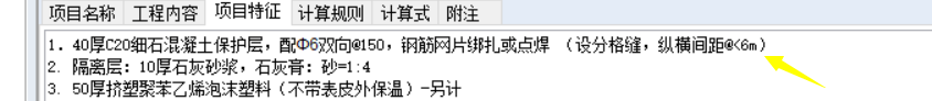 項目特征