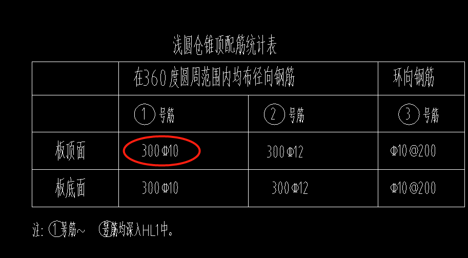 放射筋