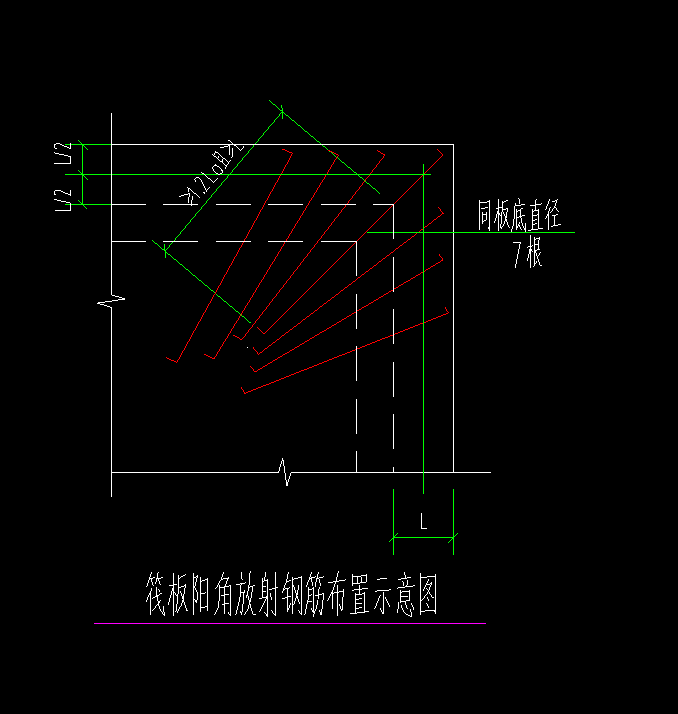 放射筋