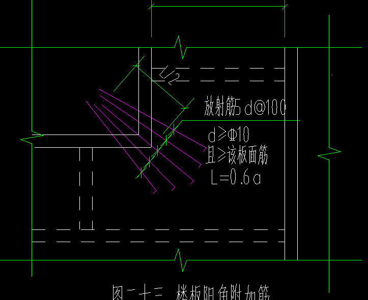 放射筋