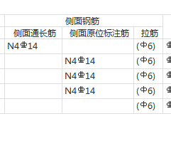 側面原位標注筋