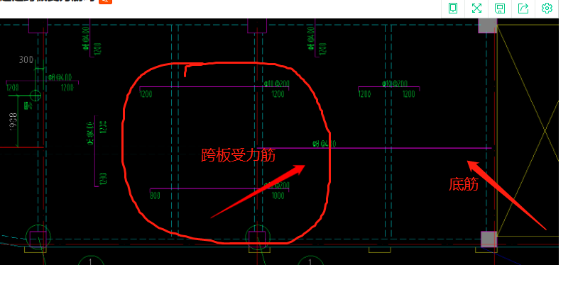 受力筋
