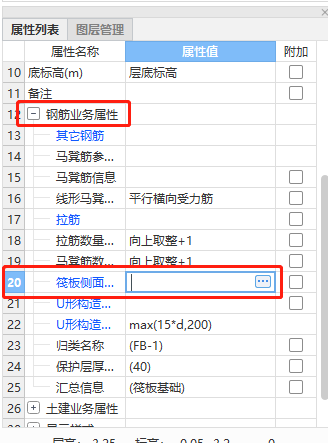 側(cè)面構(gòu)造筋