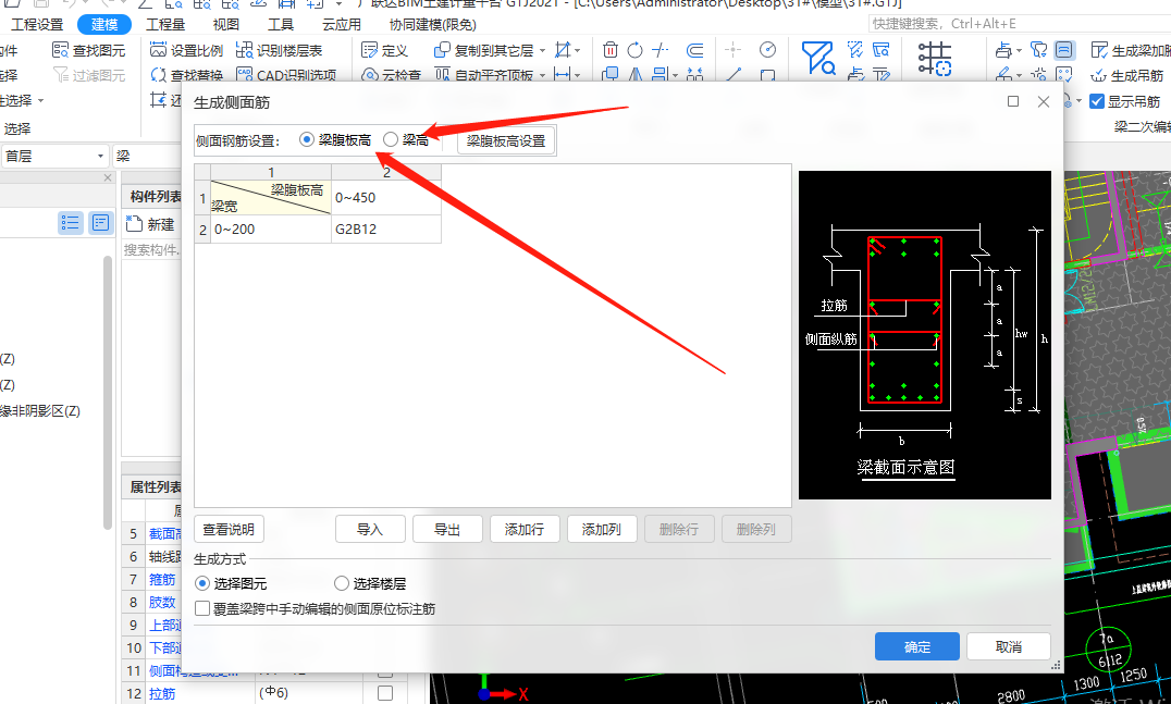構(gòu)造筋