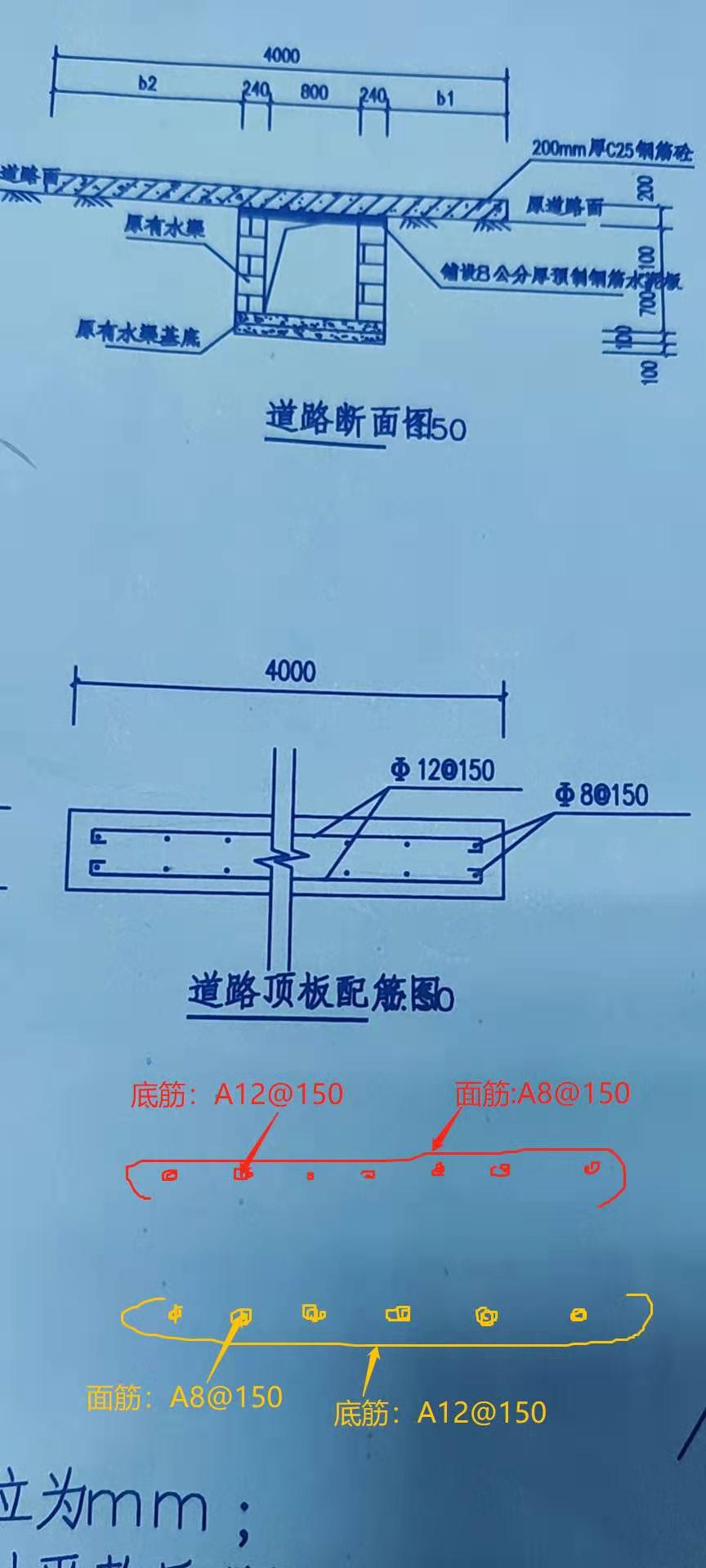 分布筋