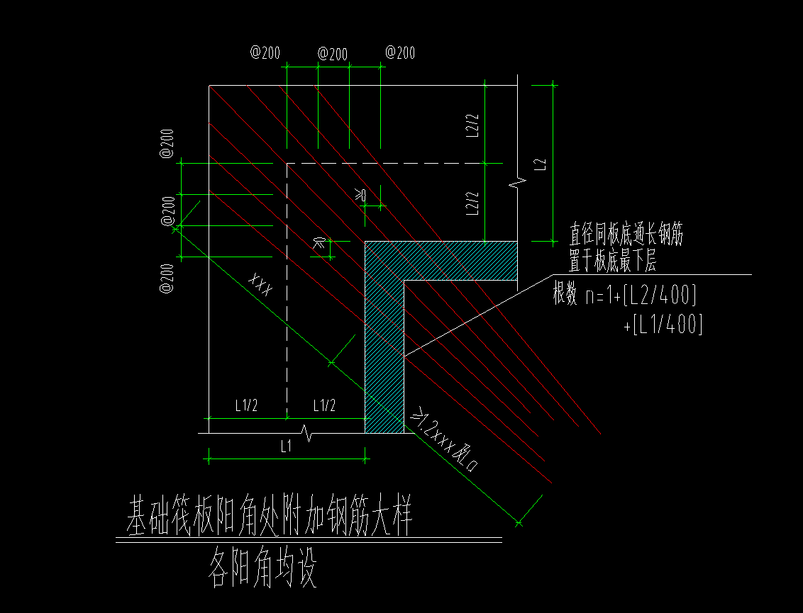 放射筋