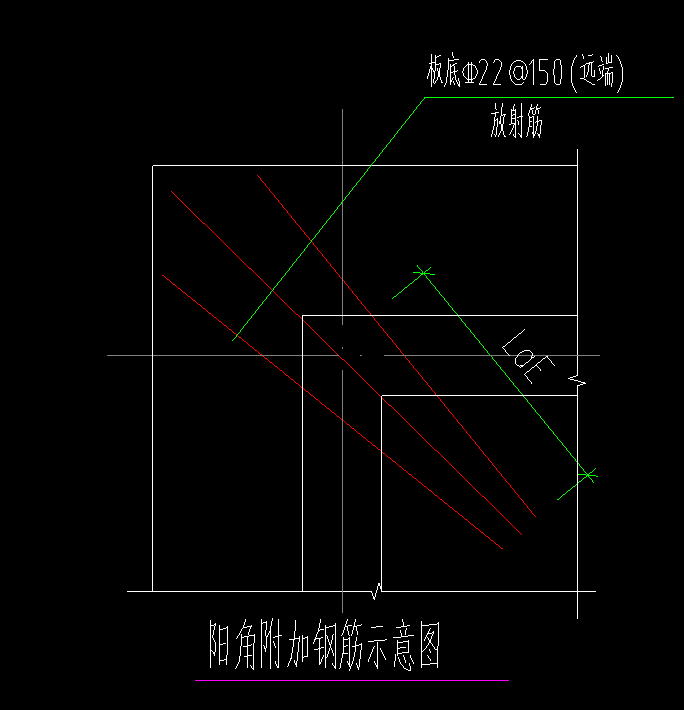 放射筋