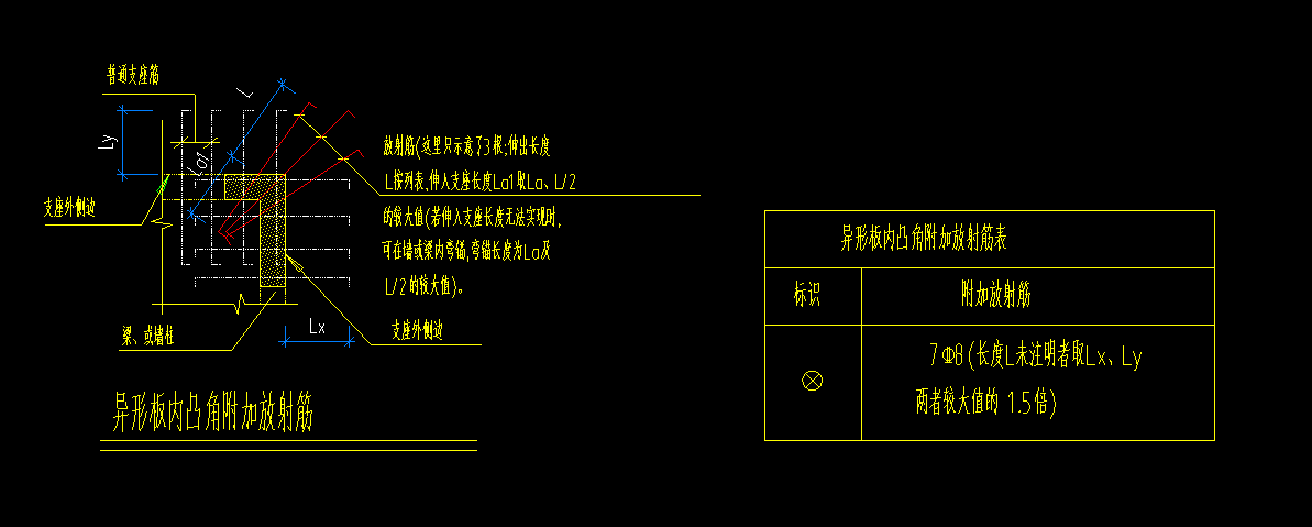 放射筋