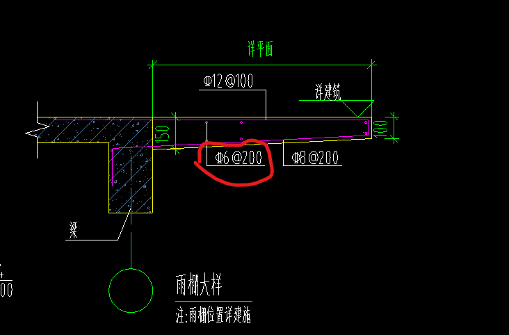 縱筋