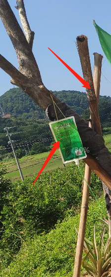 定額