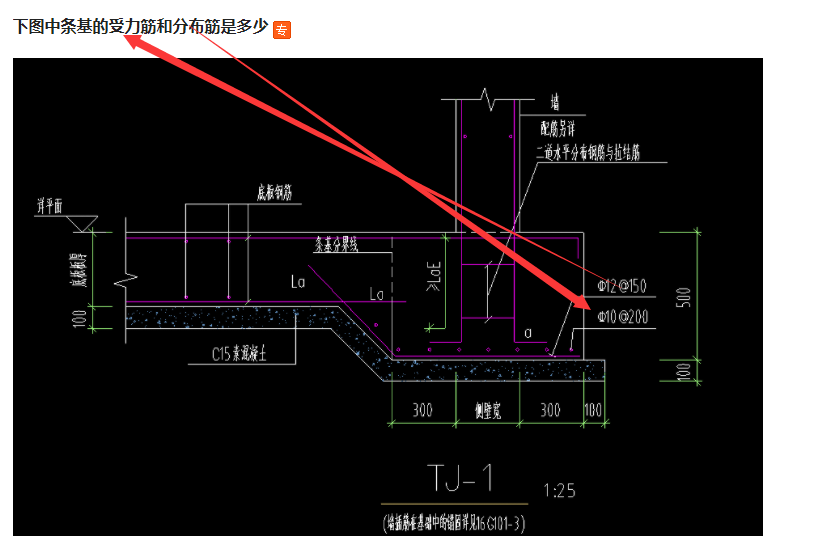 條基