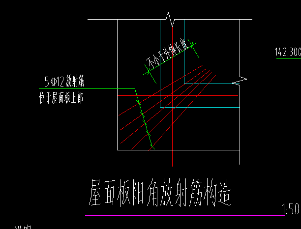 放射筋
