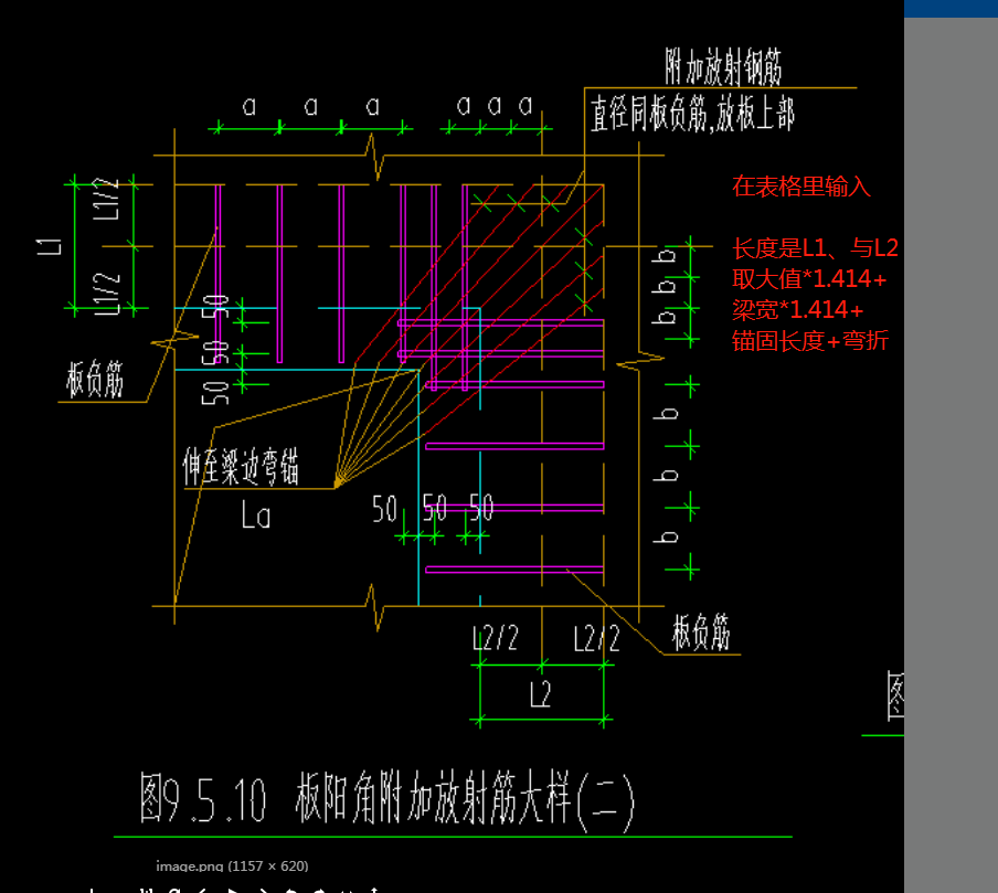 放射筋