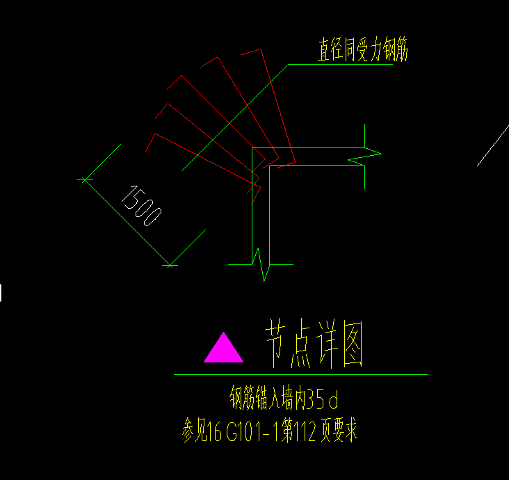 放射筋