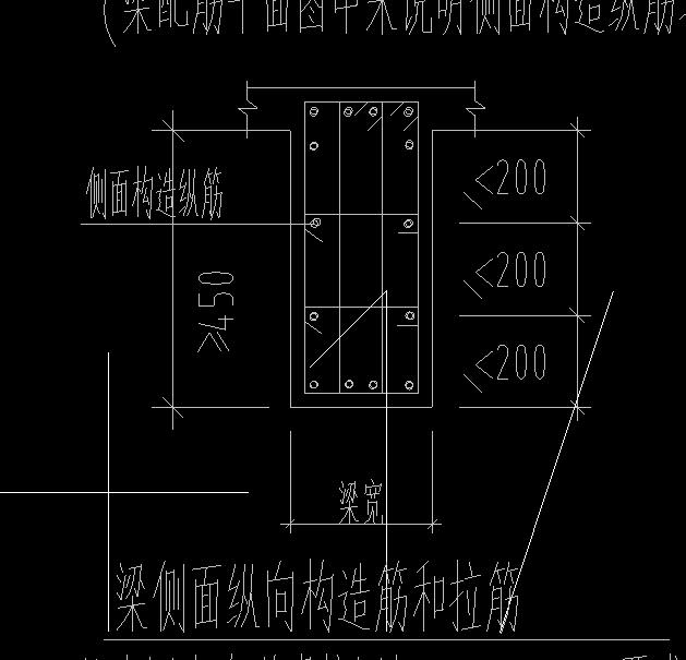 面筋