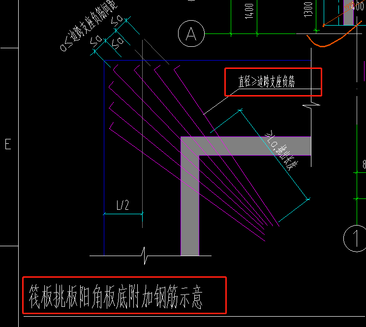 角筋