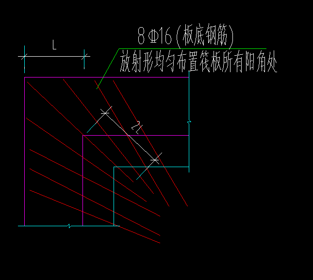 放射筋