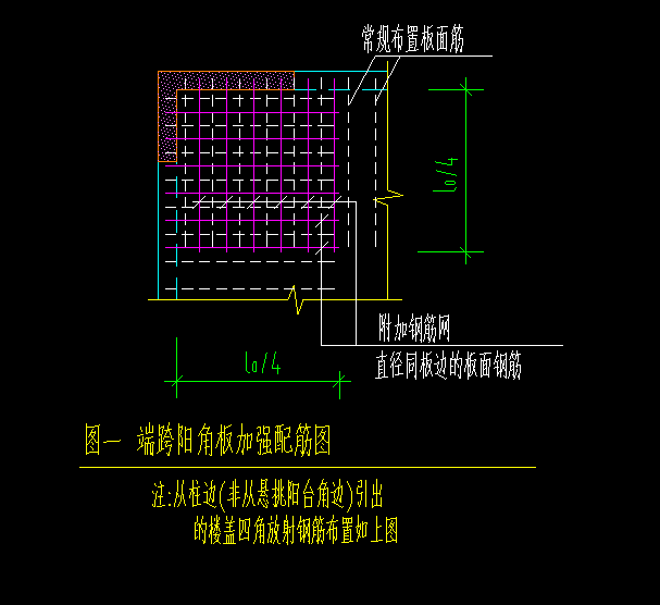 放射筋